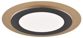 LED осветително тяло за таван с възможност за димиране в черно и златисто ø 45 cm Morgan - Trio