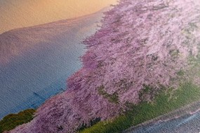 Картина на платно – Прекрасно Япония