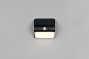 LED стенно външно осветително тяло със соларен панел (височина 12 cm) Olinda – Reality