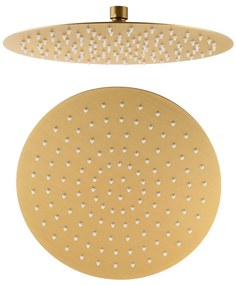 Душ глава от неръждаема стомана златна ø 30 cm Slim – Sapho