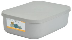 Сива пластмасова кутия за съхранение с капак 24x18x8 cm – Homéa