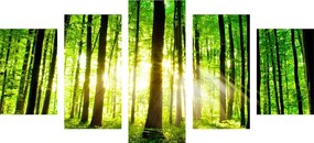 картини от 5 части – Свежа зелена гора
