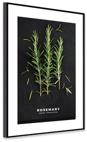 Картина 50x70 cm Rosemary – Styler