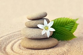 Фототапет – Бяло цвете и камъни в пясък