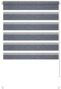 Антрацитна ролетна щора ден и нощ 42,5x150 cm Zebra Silvalin – Gardinia