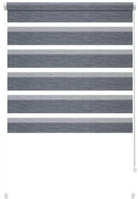 Антрацитна ролетна щора ден и нощ 72,5x150 cm Zebra Silvalin – Gardinia