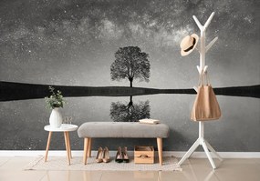 Фототапет – Черно-бяло звездно небе над самотно дърво