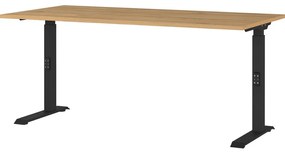 Работна маса с регулируема височина с дъбов плот 80x160 cm Agenda – Germania