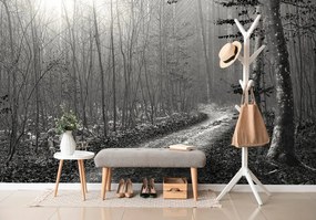 Самозалепващ фототапет – Черно-бяла пътечка в гората