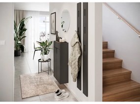 Антрацит/натурален шкаф за обувки Ameca - Germania