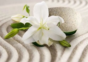 Lily and Stone  - C04136