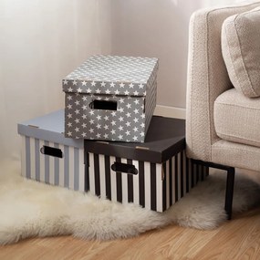 Картонени кутии за съхранение с капак в комплект от 2 броя Stripes - Compactor