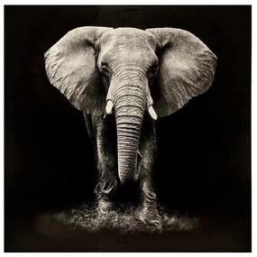 Картина atmosphera Elephant, Принт на платно 100x100 см