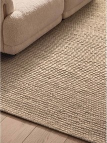 Бежов ръчно изработен вълнен килим 200x300 cm Richmond Diana – Ted Baker