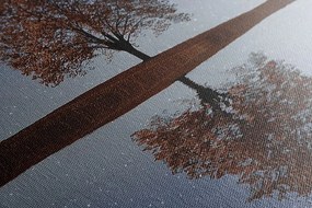 Картина на платно – Звездно небе над самотно дърво