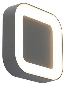 Стенна и таванна лампа сива квадратна IP54 - Ariel