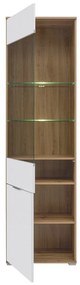 Витринен шкаф ZELE REG1W1D
