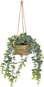 Изкуствено растение atmosphera Patri Hanging, 50 cm, Различни видове
