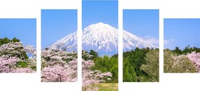 картини от 5 части – Вулканът Фуджи
