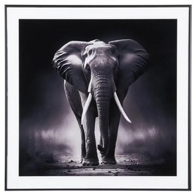 Картина 50x50 cm Elephant - PT LIVING