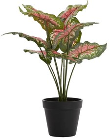 Изкуствено растение (височина 40 cm) Caladium – Light & Living