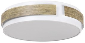 Rabalux 5646 - димируемо таванно осветително тяло SALMA LED/24W/230V