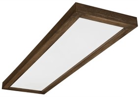 Brilagi-LED Димируема лампа WOODY FRAME LED/50W/230V дъб 120x30 см IP44 + д.у.