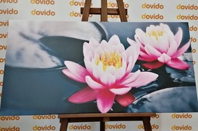 Картина на платно – Лотосов цвят в езеро