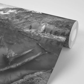 Фототапет – Величествени черно-бели планини