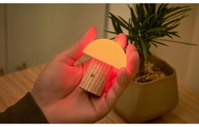 LED затъмняваща се настолна лампа от масивен ясен в естествен цвят (височина 7 cm) Alice – Gingko