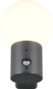 Стенно външно осветително тяло със сензор за движение ø 18 cm Mures – Trio