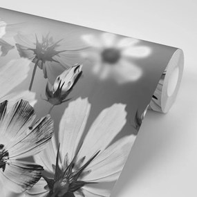 Тапет – Цветя в черно-бяло
