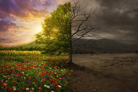 Тапет – Две форми на дърво