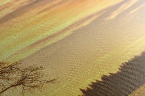 Картина на платно – Самотно дърво