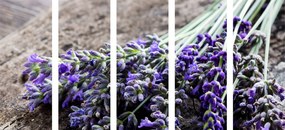 картини от 5 части – Букет от лавандула