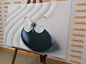 Картина на платно – Бяла пеперуда на черен камък