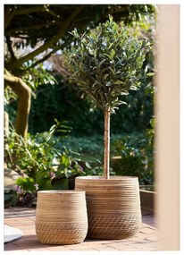 Ратанови кошници в комплект 2 бр. ø 39x35 cm Moro – House Nordic