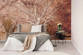 Тапет – Корона на дърво