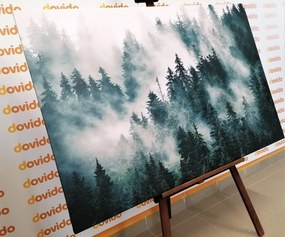 Картина на платно – Планини в мъгла