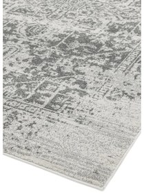 Сив килим 120x170 cm Nova – Asiatic Carpets