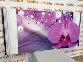 Картина на платно – Орхидея при гръцки колони