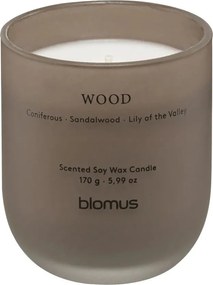Ароматна свещ от соев восък време на горене 35 час Tuoksu Wood – Blomus