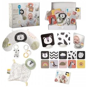 Taf Toys - Подаръчна кутия HELLO BABY