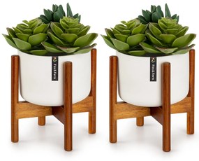 Fox & Fern Thorn, саксия със стойка, комплект от 2 части, стил 50-те години