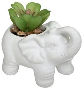 Изкуствено растение atmosphera Buddha, 10см, Различни видове