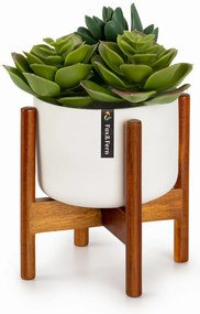 Fox & Fern Thorn, саксия, със стойка, стил 50-те, 2 размера