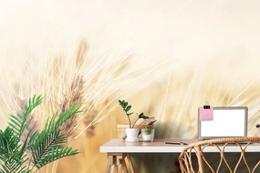 Самозалепващ фототапет – Пшенично поле