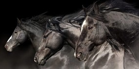 Картина на платно – Три галопиращи коня