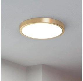 Eglo 900182 - LED таванно осветително тяло FUEVA LED/20,5W/230V диам. 28,5 см